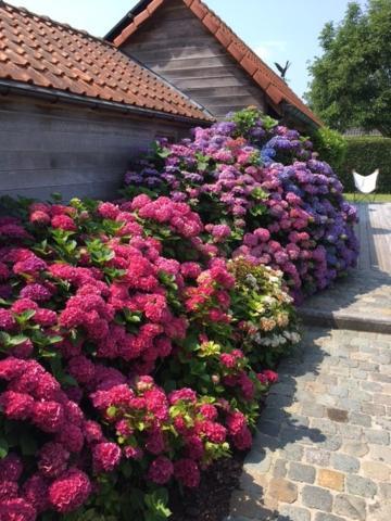 Flemish Cottage Oostkamp Exterior photo
